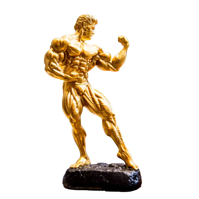 Fitness Trophy for Gym Decor