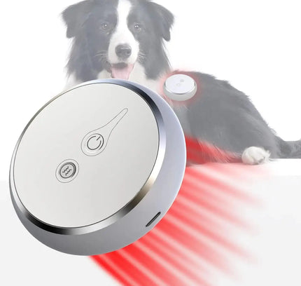 Red Light Therapy for Pets - Accelerate Recovery