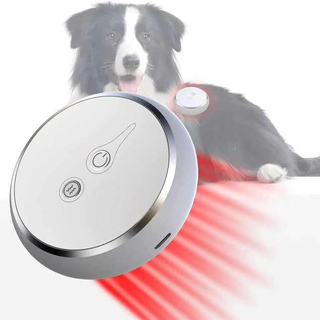 Red Light Therapy for Pets - Accelerate Recovery