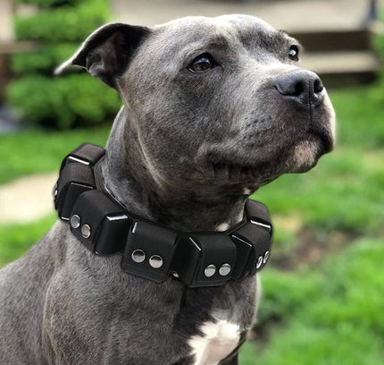 TacticalK9™️ Large Dog Training Collar