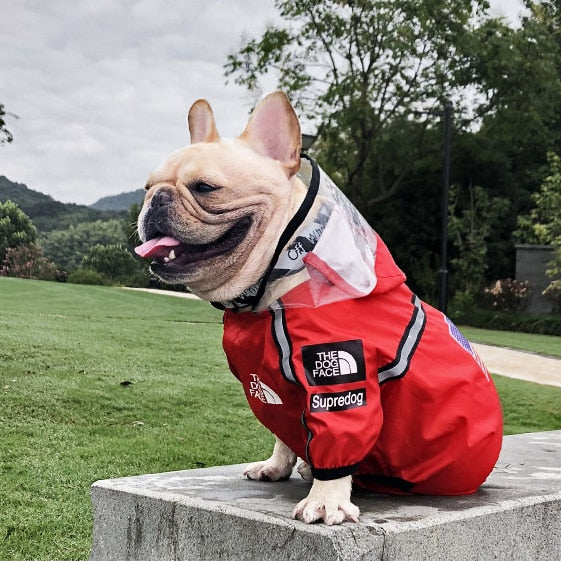 Die Hundegesichtsjacke 2.0 